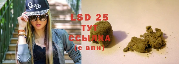крисы Володарск