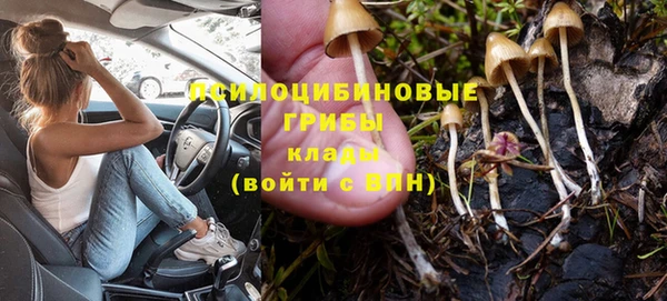 крисы Володарск