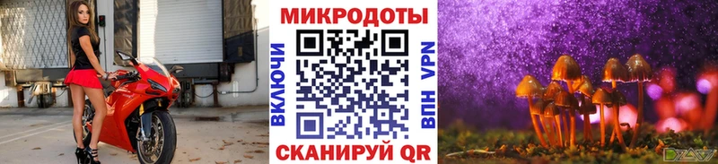 Галлюциногенные грибы Magic Shrooms Кострома